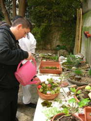 hortitherapie